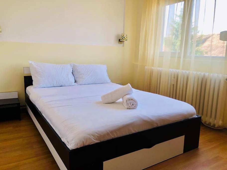 Joy City Lucaciu 16 Apartment *