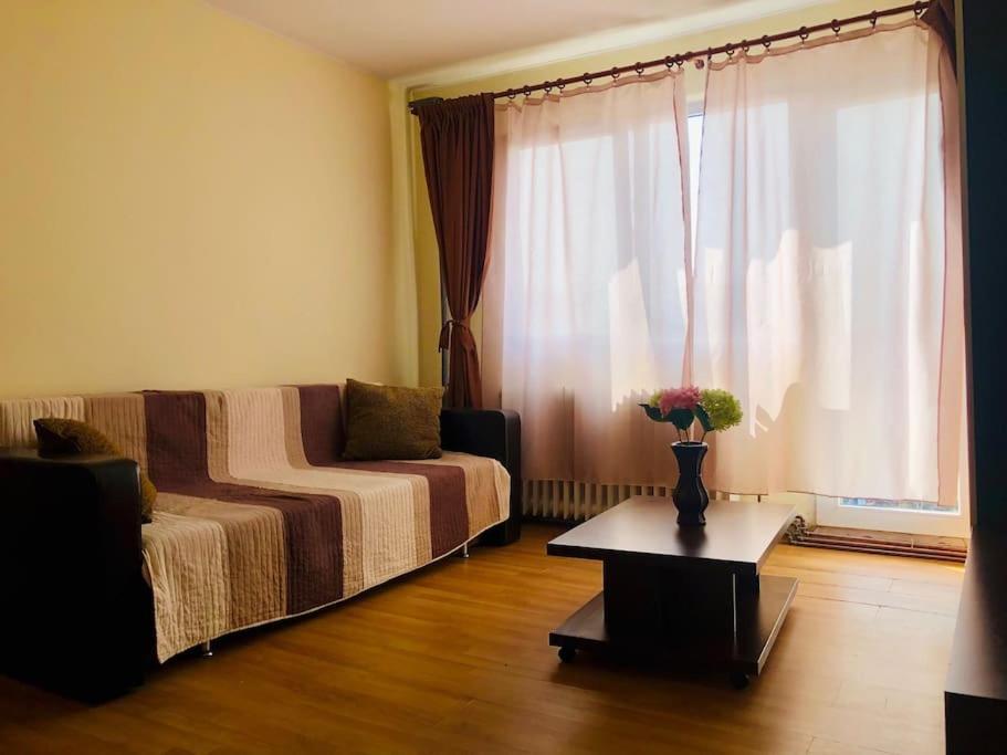 Joy City Lucaciu 16 Apartment